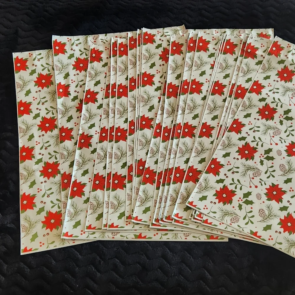 Poinsettia/Winter 10 X 13 Poly Mailers